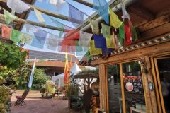 IMG_20241020_140205-scaled